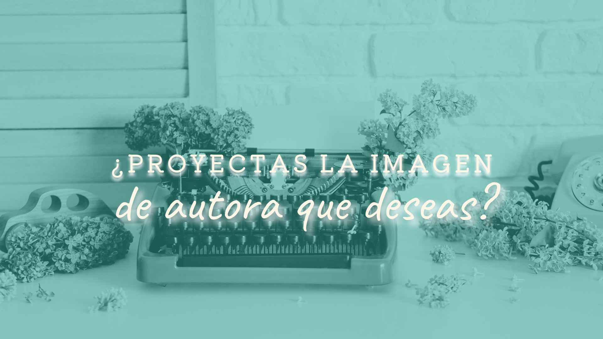 identidad de marca